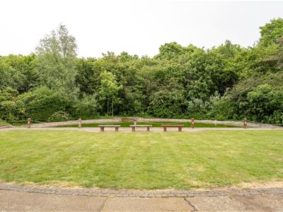 Picture 24